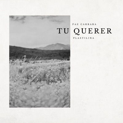 Tu querer (Acústico) - Single