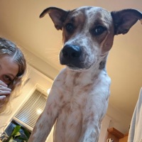 1,2,3,4,5 - Single - oddvibesforever