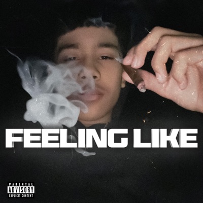 Feeling Like - Single