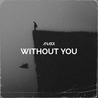 Without You (Extended Mix) - Single - Avaxx