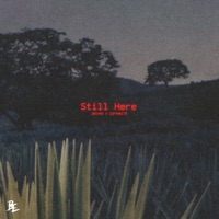 Still Here (feat. Copywrite) - Single - Absyrd
