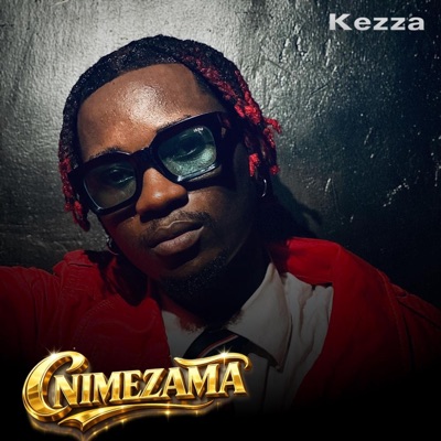 Nimezama - Single