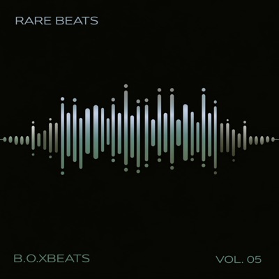 Rare Beats, Vol. 5