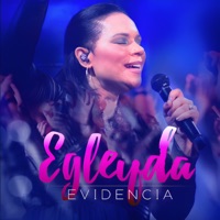 Evidencia - Egleyda Belliard