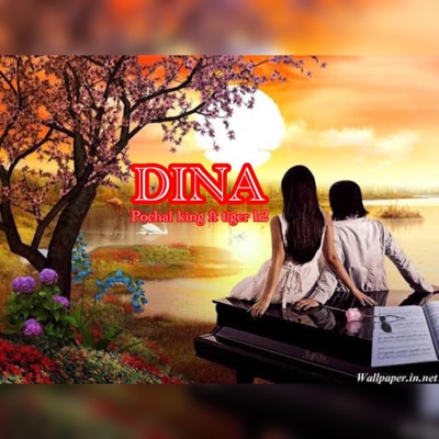 DINA (feat. Tiger b2) - Single