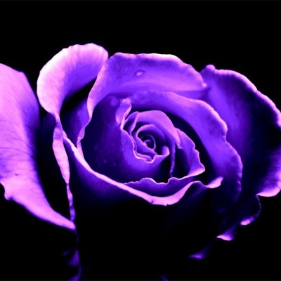 Hopeless Romantic - EP