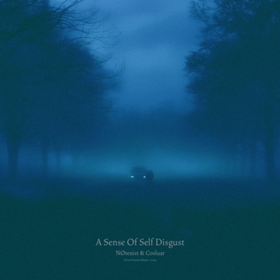 A Sense of Self Disgust - Single
