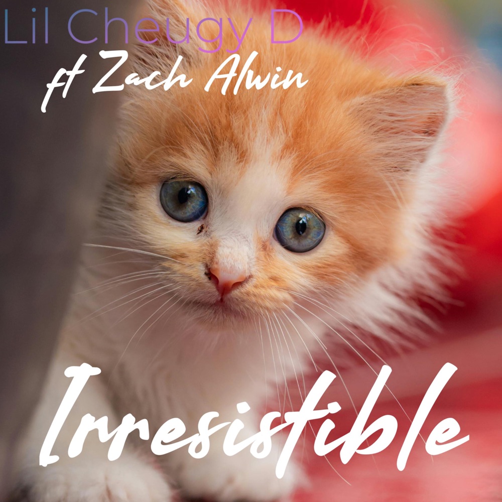 Обложка альбома «Irresistible (feat. Zach Alwin) - Single» — Lil Cheugy D