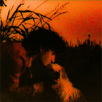 AUTODIAGNOSTICADO - Single