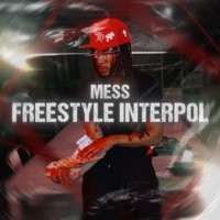 FREESTYLE INTERPOL - Single - MESS