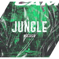 JUNGLE - Single - NICESKEIK