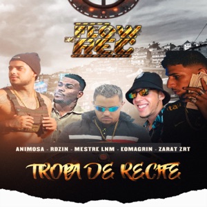 Tropa de Recife (feat. Zarat ZRT, Eomagrin, RDzin & Animosa)