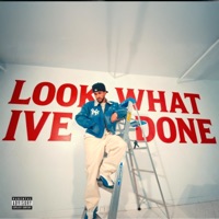 LOOK WHAT I'VE DONE - Single - Devan Ibiza
