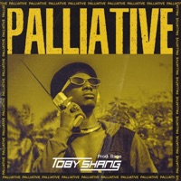 Palliative - Single - Toby Shang