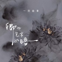 卿卿见字如晤 - Single - yizhibaiyang