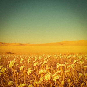 Has Metido (Live At Gaviotas) - Single