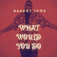 What would you do - Single - Desert Igwe
