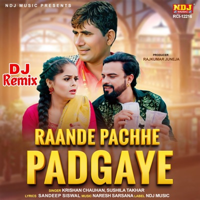 Raande Pachhe Padgaye (Dj Remix) - Single