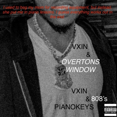 OVERTONS WINDOW - Single