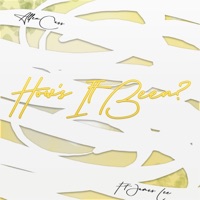 How's It Been? (feat. James Lee) - Single - Allen Cass