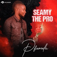 Pfumela - Single - SEAMY THE PRO