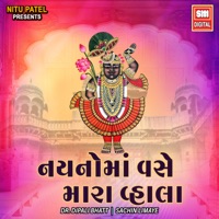 Naino Ma Vase Mara Vhala - Single - Dr. Dipali Bhatt & Sachin Limaye