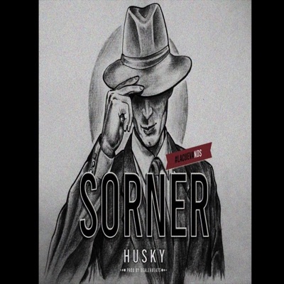 Sorner (feat. Dealer Hits) - Single