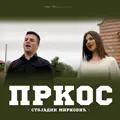 Stojadin Mirkovic