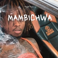 Mambichwa (feat. Boondocks gang) - Single - Magix Enga
