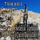 Çalın davulları