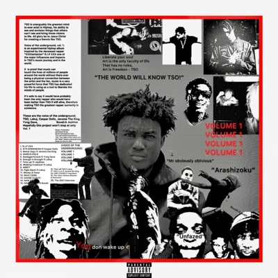 TSO Presents: VOICE OF THE UNDERGROUND, Vol. 1