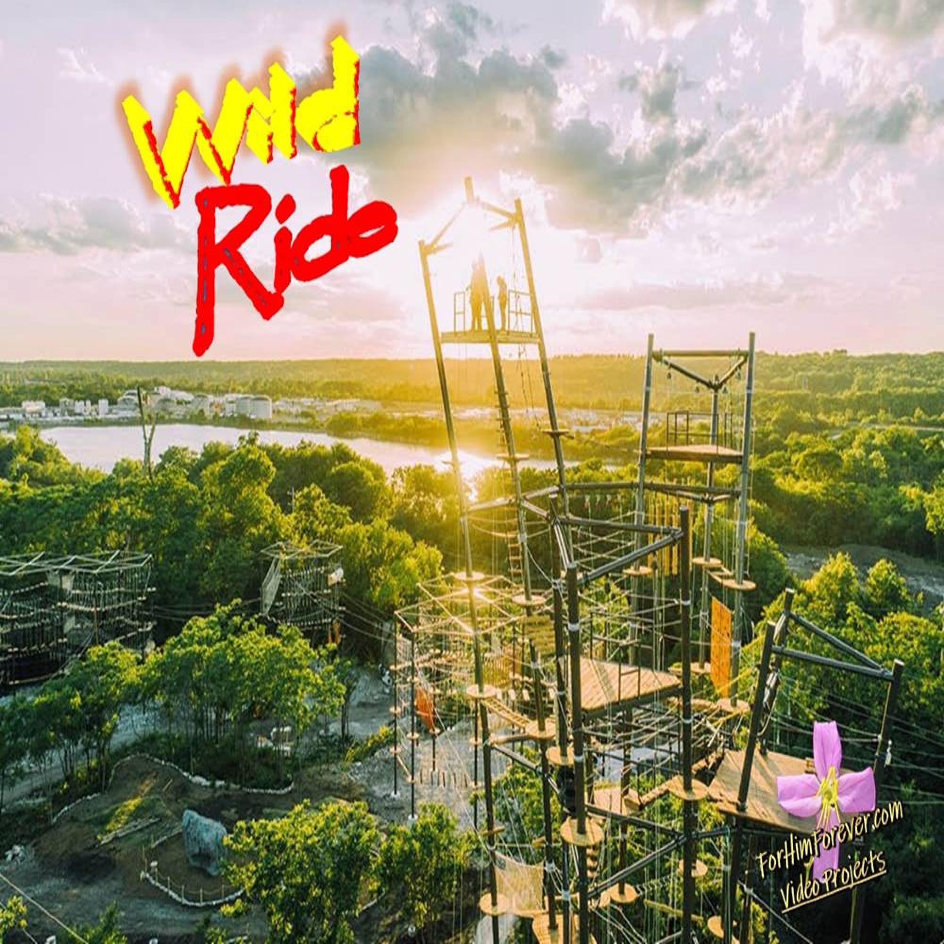Wild Ride