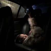 Lieutenant - Single - vynce