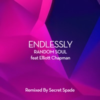Endlessly (feat. Elliot Chapman) [Secret Spade Remix] - Single - Random Soul & Secret Spade