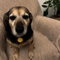 Gg (feat. Giop) - Single - 3miiL