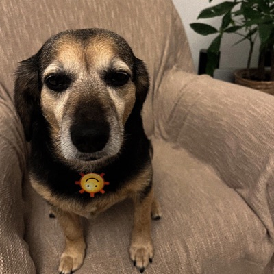 Gg (feat. Giop) - Single