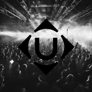 Anymore (VIP Mix)