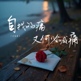 自找的痛又何必喊疼 (DJ诗意版) 王佳音