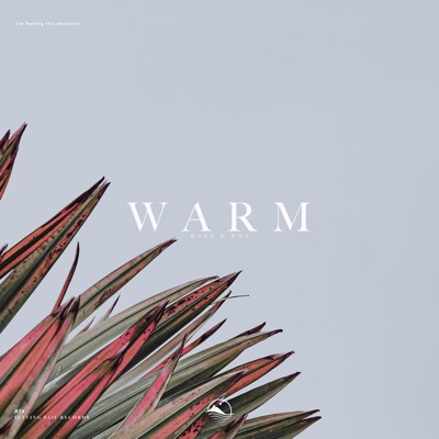 Warm - Single