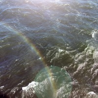 dexed - Single - SoundPatrol