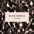Bicie Serca