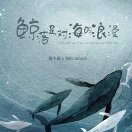 鲸落是对海的浪漫 Xiaowei Yuan & 张红山KaKa
