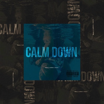 Calm down (feat. Rxny & Leblnk) - Single