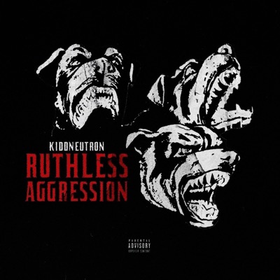 Ruthless Aggression