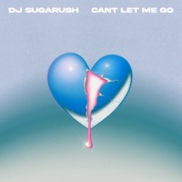 Can't Let Me Go - Single - DJ Sugarush, Jai Piccone & Hotel Rubio