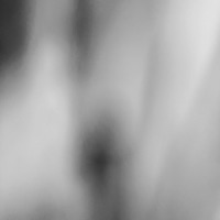 Tom's Last Ride - Capriest