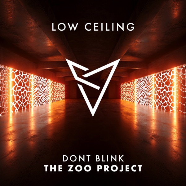 The ZOO PROJECT (feat. J Boogie Bailey) - Single
