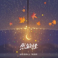 感敏怪 - Single - 菲菲公主(陆绮菲) & 安揚
