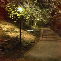 Nightwalk - Peter Bark