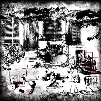 VENGO DA DOVE - Single